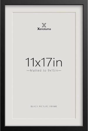 11×17 Picture Frames with 9...