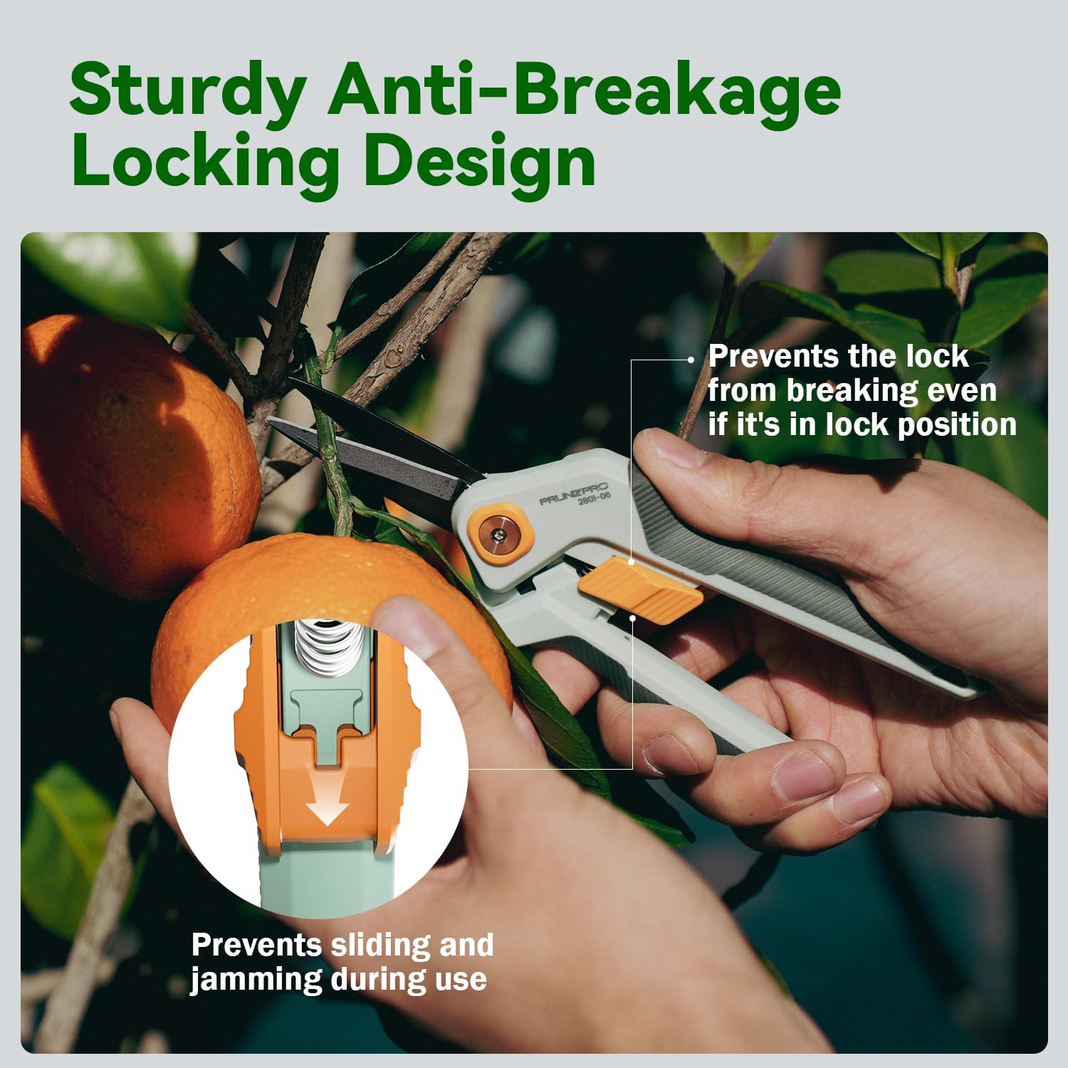 PrunePro® 4 Piece Garden Shears Set Stainless Steel Ultra Sharp Blade Arthritis Friendly Effortlessly Pruning Shears Loppers for Branches Bushes Stems Precision Cutting Extendable Hedge Shears - Image 5