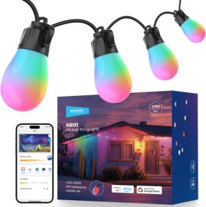 NEEWER 96ft Outdoor String Lights, ...