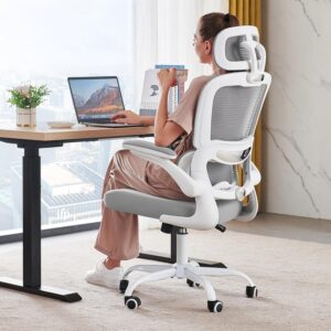 TRALT Office Chair Ergonomic Desk C...