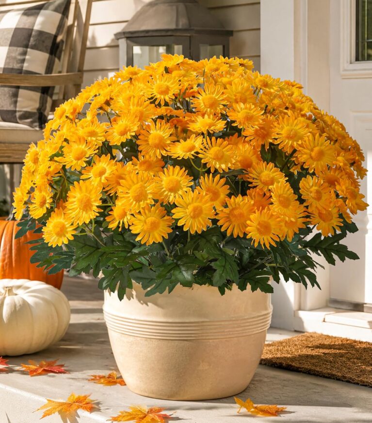 HyeFlora Artificial Fall Faux Mums Flowers Outdoor Plants for Decoration, 6 Bundles Fake Silk Yellow Gerbera Daisy Flowers UV Resistant Look Real for Planter Outside Front Door Porch Patio Balcony