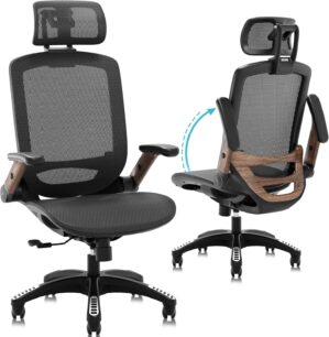 GABRYLLY Ergonomic Office Chair, Hi...