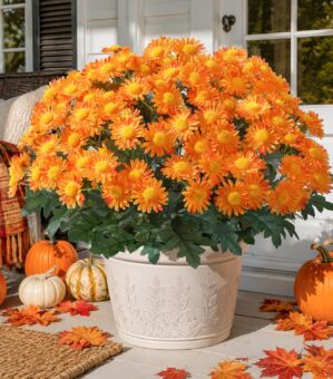 HyeFlora Artificial Fall Faux Mums ...