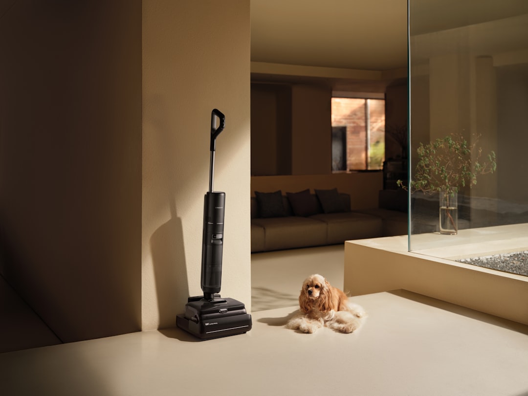 Cordless vacuum cleaner and small dog on floor