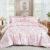 WONGS BEDDING Queen Size Comforter Set, 8 Pieces Pink Floral Bed in a Bag Comferter Sets, Botanical Print Soft Fluffy Microfiber Complete Bedding Sets for All Season (90″x90″)